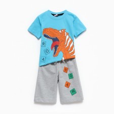 Set for a boy (T -shirt/shorts), blue color, height 110cm