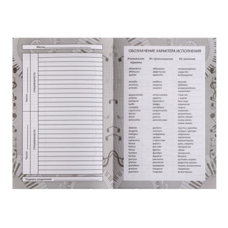 Diary for a music school, “Not music - but space!”, Integral (flexible) cover, matte lamination, selective varnish, 48 sheets-7