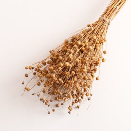 A set of dried flowers "Lenon-debunge", banch length 55-60 (+/- 6 cm), natural-2