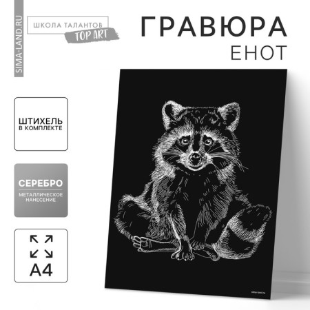 Engraving on the “raccoon” substrate with the metallic effect “silver” A4