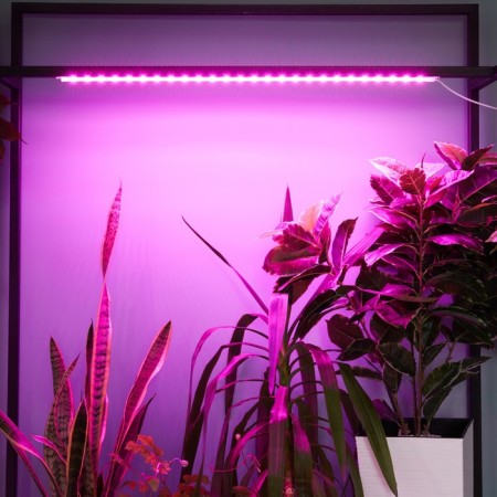 Lamp for plants LED linear, 900 mm Uniel, 14 W, LED, IP65, Color transparent