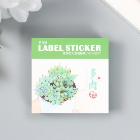 Set of stickers "succulents" 40 pcs in a box of 3.8x3.8 cm-3