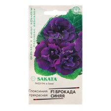 Brookada gloxinia seeds, blue, f1, 4 pcs