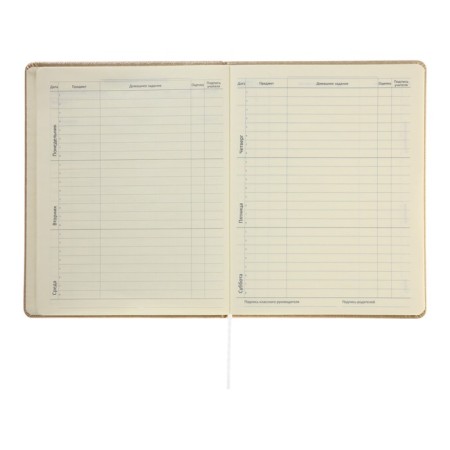 Universal diary for grade 1-11 Bow, hard cover, artificial leather, foil embossing, lies, 80 g/m2-7