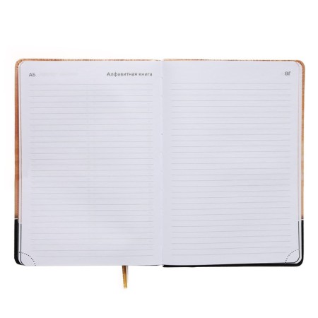 Leduced Diary A5, 160 sheets, Devente. Wild CAT, solid cover of artificial leather with foam rubber, color cut, block 70 g/m2, orange-9