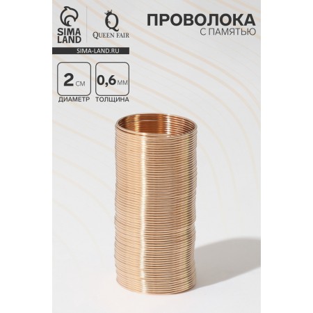 Wire with memory, d = 2 cm, thickness 0.6 mm, for a ring, color gold, 10 g-1