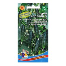 Cucumber seeds 