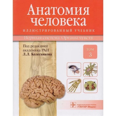 Human anatomy. In 3 volumes. Volume 3. The nervous system. Senses. Kolesnikov L.