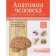 Human anatomy. In 3 volumes. Volume 3. The nervous system. Senses. Kolesnikov L.