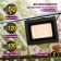 Phytoprotter for plants Fito-50W-RA90--led LED era for flowering and fruiting full