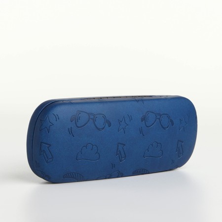 Case for glasses on the chosen chubby, length 16 cm, blue color