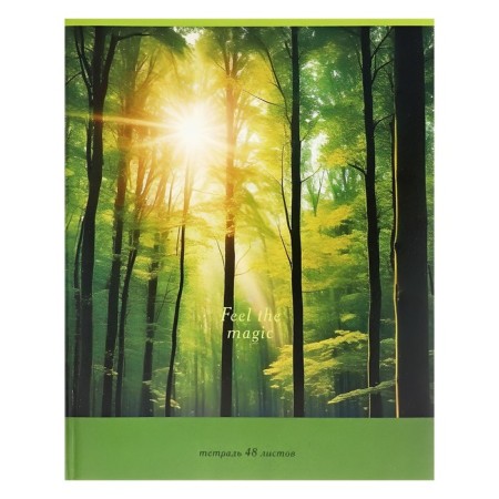 Notebook of 48 sheets in the cage "Nature", cover coated cardboard, block No. 2 (gray sheets), mix-3