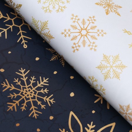 Paper Glossy "Snowflakes", bilateral, 70 x 100 cm-3