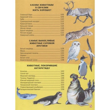 My first big book about animals-3