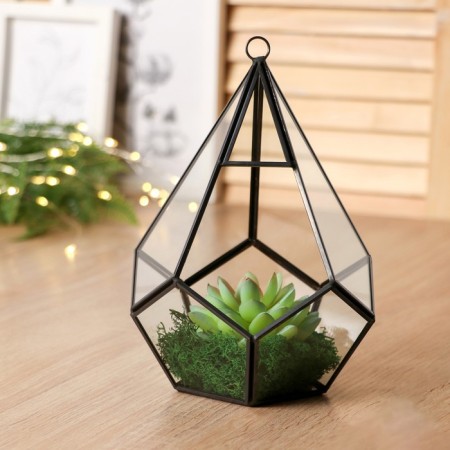 Florarium frame "Cawncer" 21x14 cm, black