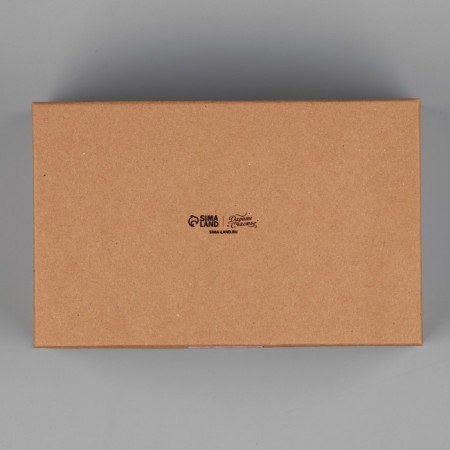 Rectangular gift box, packaging, Pressent, 22 x 14 x 8.5 cm-4