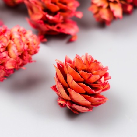 Decor for creativity "pine pink" size 2-4 cm-1