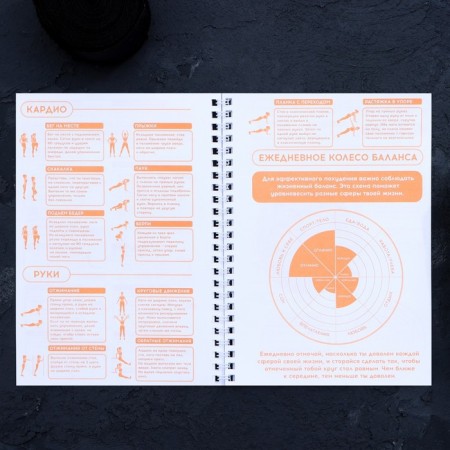 Diary of Training "Own Celend" on the spring, 25 sheets-9