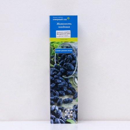 Edible honeysuckle (Northern Garden series) "Michurinskoye marvel", 1 pc, tube, spring 2024