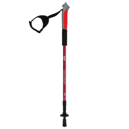 Sticks for Scandinavian walking online, telescopic, 3 sections, up to 135 cm, 2 pcs., Mix color-6