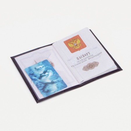 Cover for passport, dark purple color-4