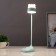 Sensory table lamp 16753/1 LED 2W 6000K USB AKB Blue 9x11x38 cm Risalux
