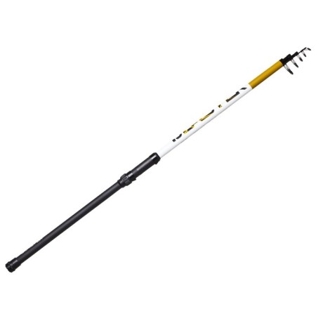 The float rod with the Salmo Blaster Tele Pike rings, test 10-100 g, length 3.6 m.