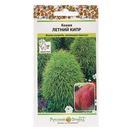 Cochia flowers "Summer Cyprus", 0.3 g-2