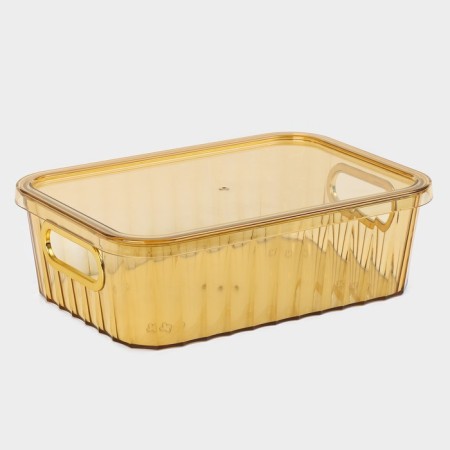 Storage container with a lid "City", 25.5 × 18 × 8 cm, color mix-7