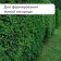 Кусторез, 22–28.5" (56–73 см), телескопический, с поролоновыми ручками, с чехлом, цвет МИКС, Greengo