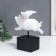 Polystone souvenir "White lead with wings" 18x8x17 cm