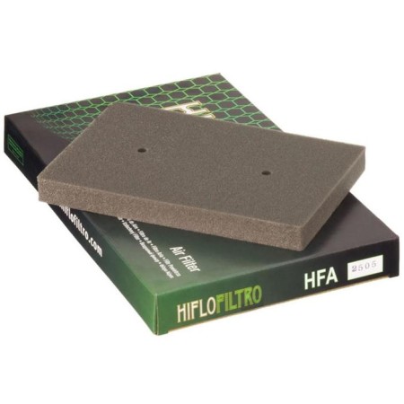 Air filter HFA2505