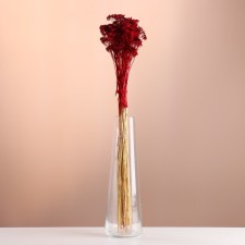 A set of dried flowers 