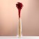 A set of dried flowers "yarrow", banch length 60 (+/- 6 cm), red