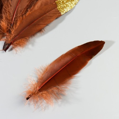 A set of goose feathers 15-20 cm, 10 pcs, brown with golden crumb-3