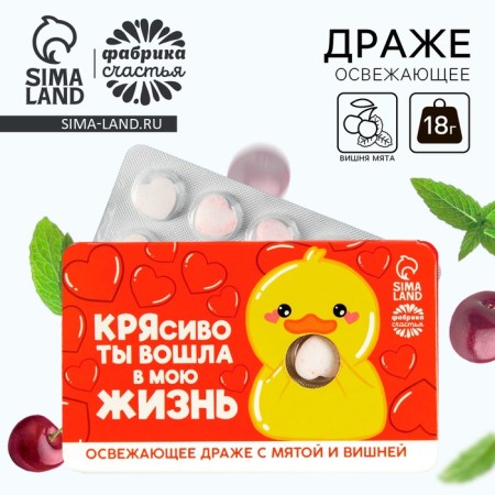 Drage refreshing “Krasobi you entered my life” with mint and cherry, 18 g.
