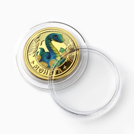 Coin New Year's "Wealth Coin" for the New Year, Diam. 2.2 cm-4