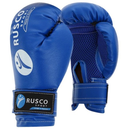 Boxing set for beginners ruscosport: bag, gloves, 6 ounces, black/blue color-1