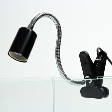 Terrarium lamp, with lighting switch