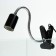 Terrarium lamp, with lighting switch