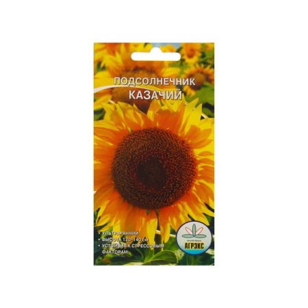 Sunflower seeds "Cossack", 10 pcs