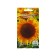 Sunflower seeds "Cossack", 10 pcs