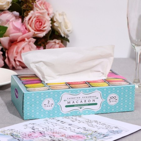 Paper napkins in Plushe box, 2 layers, 100 sheets-8