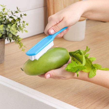 Brush for vegetables and fruits with a handle of Dolyan, 17 × 3.3 × 2 cm, color mix-4