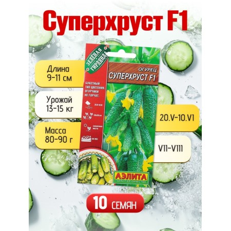 Set of seeds Early Self -Self -pollinated cucumbers-1