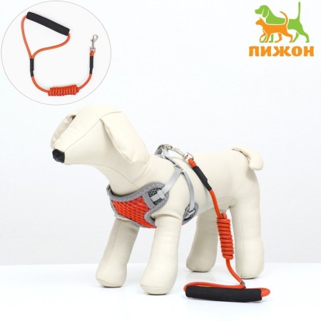 A set of ammunition with a soft breathing harness and a round leash 120 x 1 cm, red