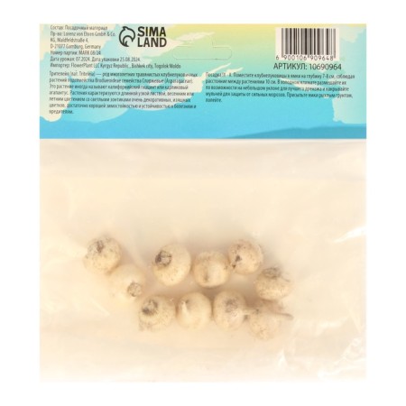 Tripatelia KVIN Fabiola, rr 5/6, 10 pcs, autumn 2024-1