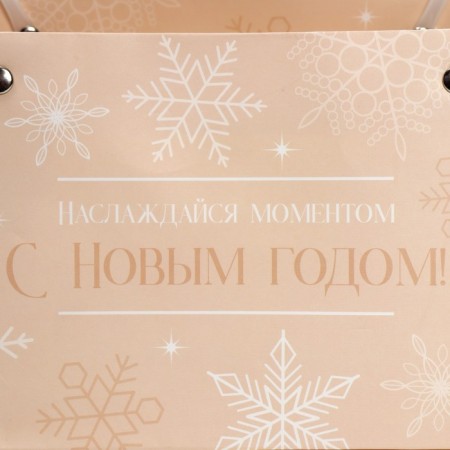 Moisture -resistant packet for Flakes, 24 x 12 x 12 cm, New Year-5