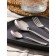 Set of table "celebration", 18 items, thickness 2 mm, cardboard box, silver color