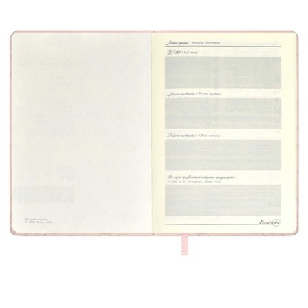 Delicidal Air A5, 164 Escalada sheets, fingered binding with foam rubber, artificial leather "Laika", glassy line, cream offset 70 g/m², pink-5